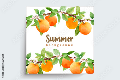 hand drawn watercolor orange fruit frame and wreath design