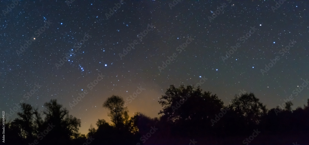 dark forest silhouette on night starry sky background