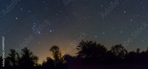 Fototapeta Naklejka Na Ścianę i Meble -  dark forest silhouette on night starry sky background