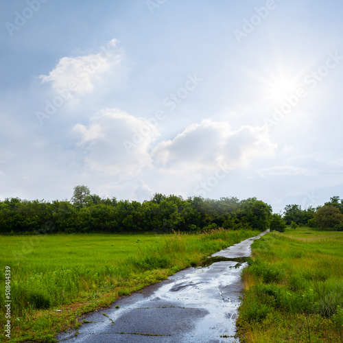 wet asphalt road after a rain among green fields under a sparkle sun
