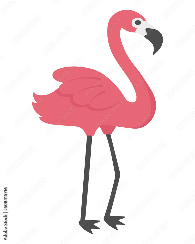 Fototapeta premium Flamingo