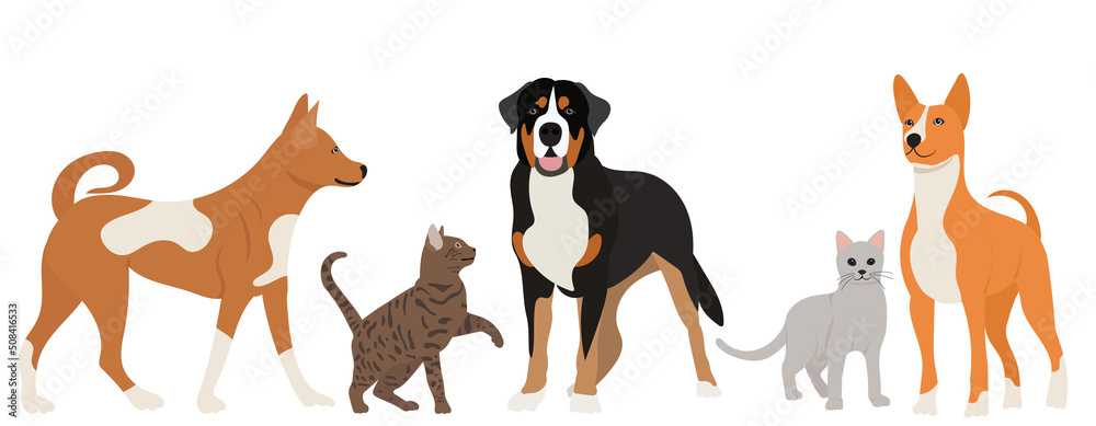 cats and dogs in flat design isolated, vector