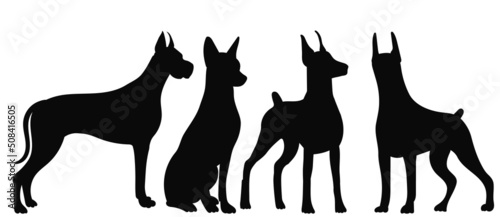 dogs silhouette on white background, isolated, vector