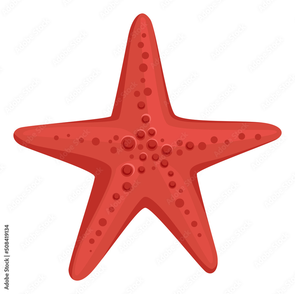 Red starfish. Cartoon ocean beach sand animal Red starfish. Cartoon ocean beach sand animal
