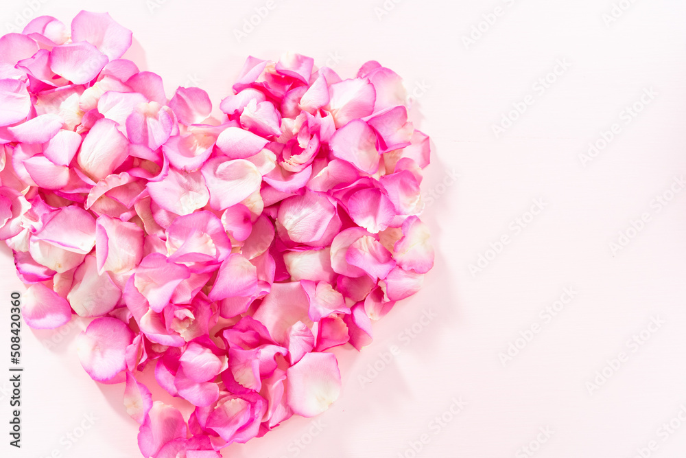 Obraz premium Rose petals