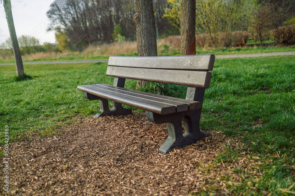 Wood bench in the spring city park outdoors. beautiful empty morning scenery
