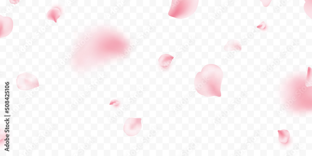 Sakura petal spring blossom. Flower flying background. Pink rose composition. Beauty Spa product frame. Valentine romantic card. Light delicate pastel design. Wedding card. Vector illustration