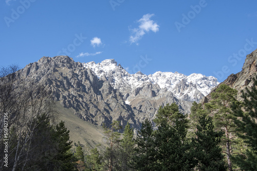 View of the mountain snow-capped peaks through the trees