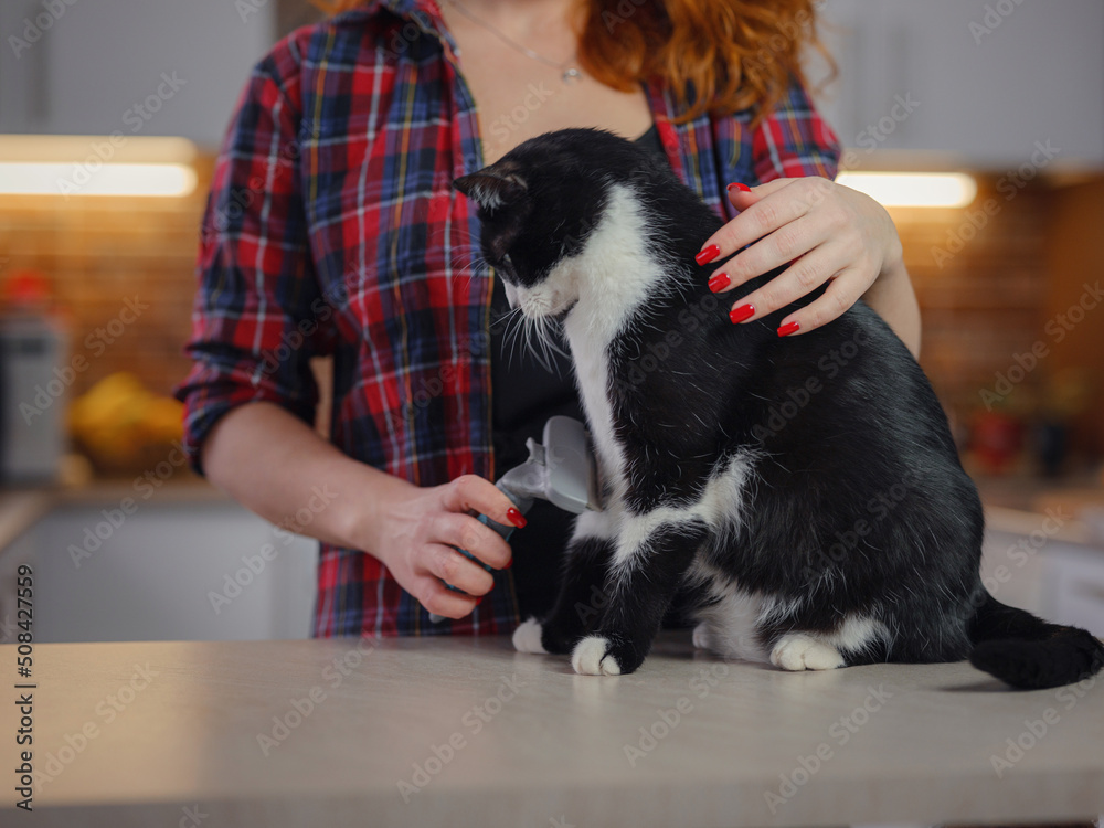 woman cat grooming at home with tool for shedding hair. medicine, pet, animals, health care and people concept. Grooming animals, combing hair, express molt