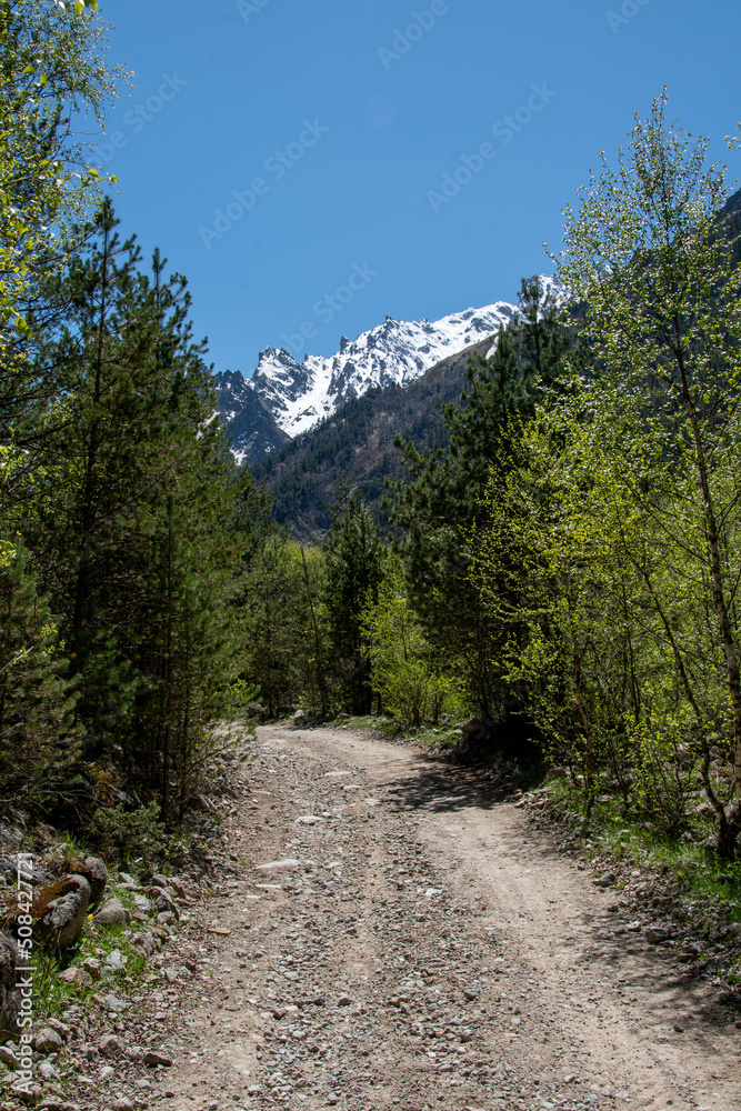 Road in the forest against the backdrop of high snowy mountains Road in the forest against the backdrop of high snowy mountains