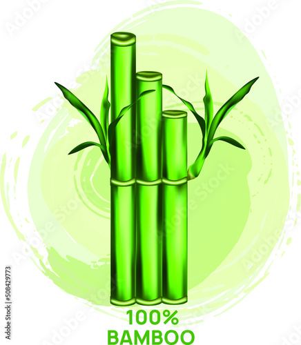Trunk and leaves of green bamboo. Stylized vector illustration