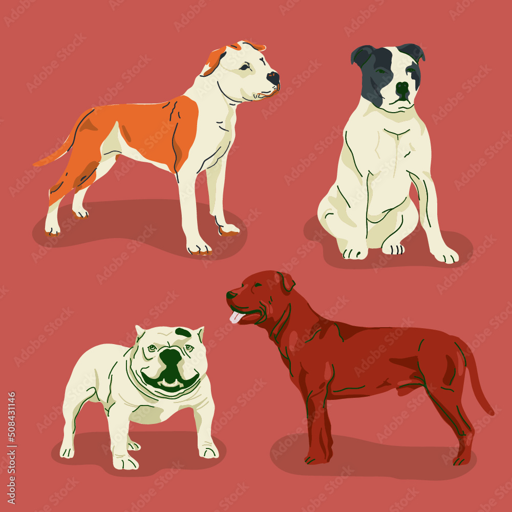 Flat Pitbull Dog Vector Illustration Collection Flat Pitbull Dog Vector Illustration Collection