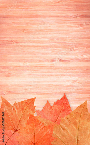 Autumn leaves on wooden background.