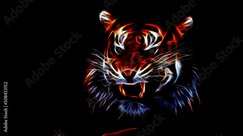 Tiger's gaze. color picture of a tiger © Vitalii