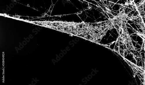 Fotografia spider web on a dark background