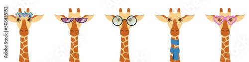 A collection of portraits of cute giraffes in glasses, scarf, with a wreath of flowers. Vector illustration isolated on white background