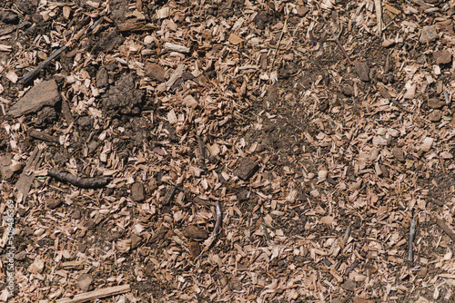 Chunks of wood on the ground. Sawdust background image or texture. Wood treatment waste © Anna Skliarenko