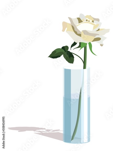 Single white rose in cylindrical vase in light flat style, isolated on white background