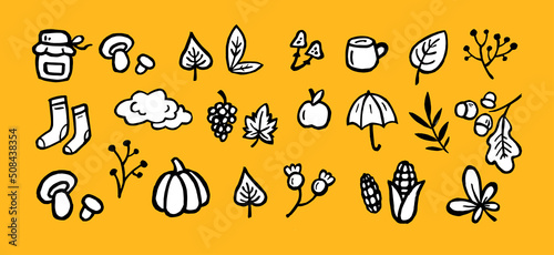 autumn set icons. autumn clip art vector black and white. sketch set - leaves, harvest, season. vegetables, plants