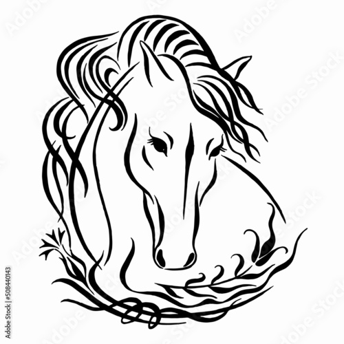 Horse Head Logo, Vector Illustration, hand drawn image. Horse head silhouette in ornament. Linear drawing. Calligraphy image.