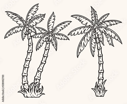 Palm trees vintage colorful element