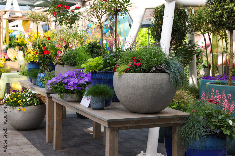 Many different potted flowers on wooden tables outdoors