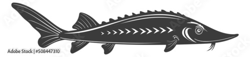 Sterlet black silhouette. Sturgeon icon. Fresh water fish