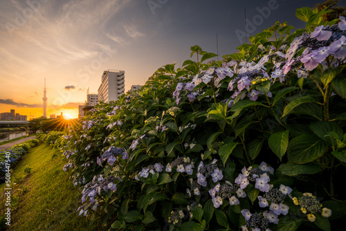 初夏の景色 photo