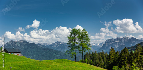 Ausblick in den bregenzer wald in Vorarlberg