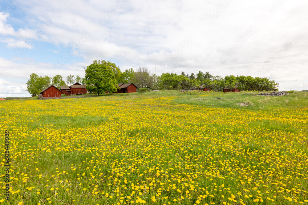 Beautiful farm landscape in spring