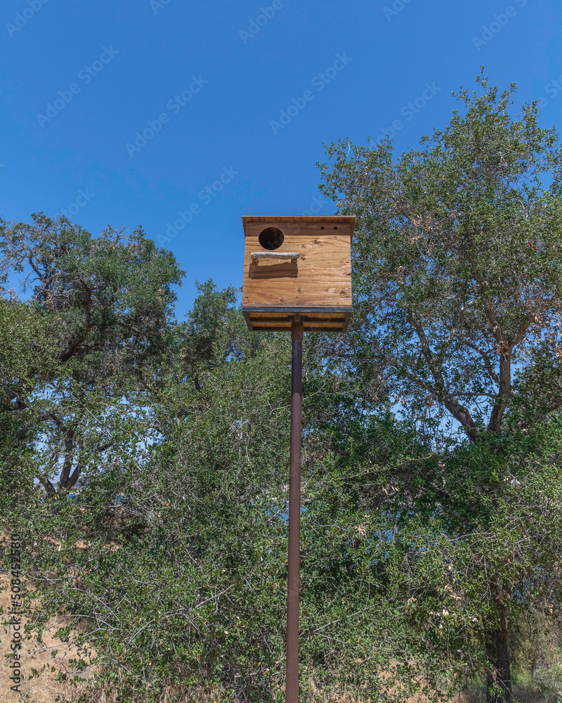 A Barn owl nesting box installed on a long pole at Lake Cachuma, Santa Barbara county, CA.