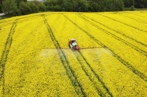 Aerial view of rapeseed yellow fields and tractor agro combine. Agricultural machinery. Cultivation and harvesting