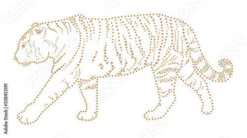 Tiger pinpoint silhouette