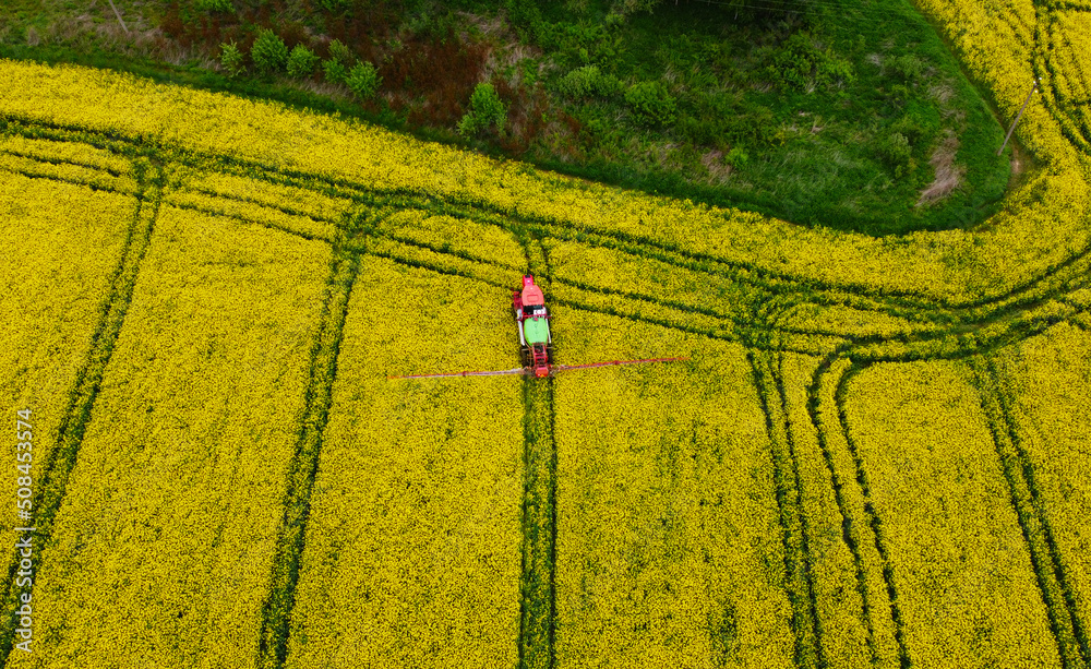 Aerial view of rapeseed yellow fields and tractor agro combine. Agricultural machinery. Cultivation and harvesting Aerial view of rapeseed yellow fields and tractor agro combine. Agricultural machinery. Cultivation and harvesting