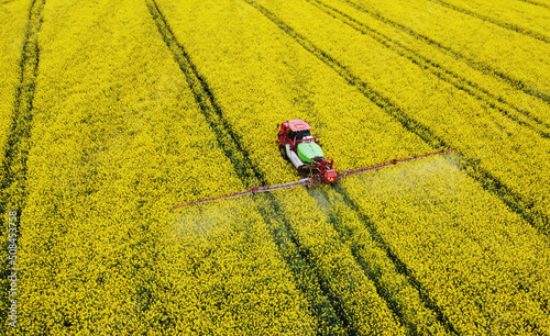 Aerial view of rapeseed yellow fields and tractor agro combine. Agricultural machinery. Cultivation and harvesting