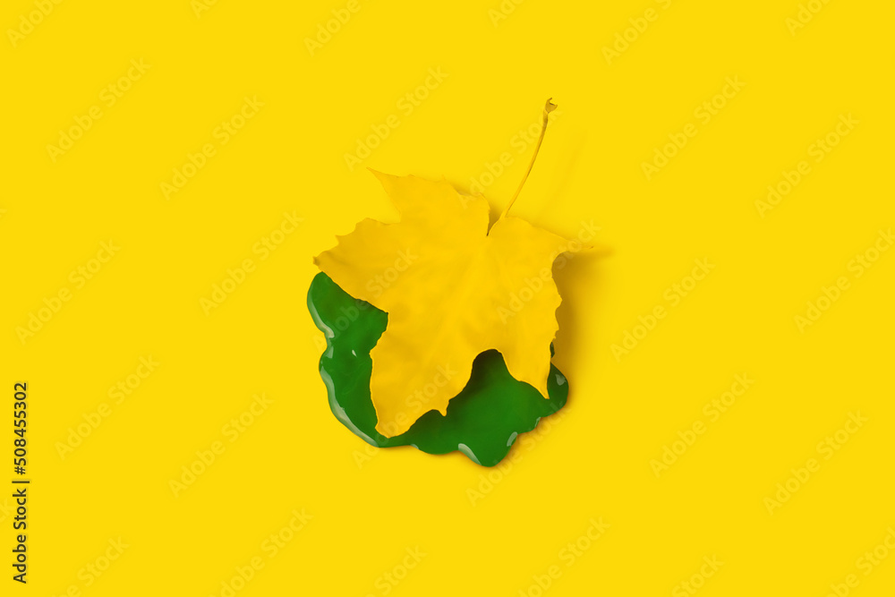 Minimal composition with yellow maple leaf in green puddle on yellow background, top view. Creative arrives autumn concept. Fall of the leaves, change of seasons concept. Minimal composition with yellow maple leaf in green puddle on yellow background, top view. Creative arrives autumn concept. Fall of the leaves, change of seasons concept.