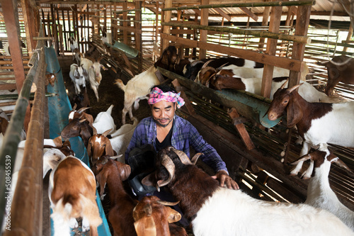 A positive farmer is happy between his pets. A male farmer in a goat farm smiles as he looks at the goats in the farm.