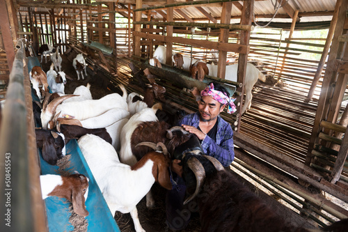 A positive farmer is happy between his pets. A male farmer in a goat farm smiles as he looks at the goats in the farm.