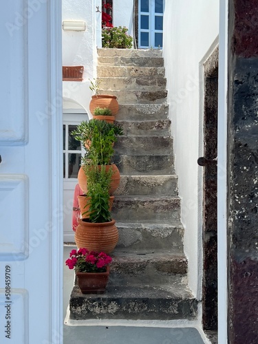 Outdoor stone staircase with potted plants and door