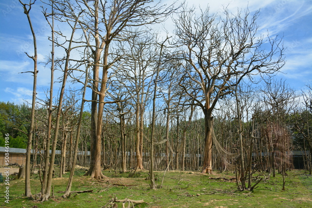 Parc Parc