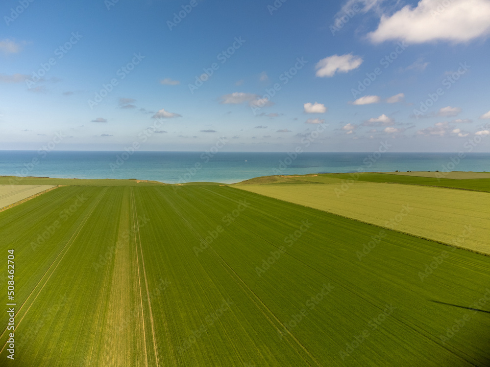 Aerial view on green grain fields and blue Atlantic ocean in agricultural region Pays de Caux in Normandy, France
