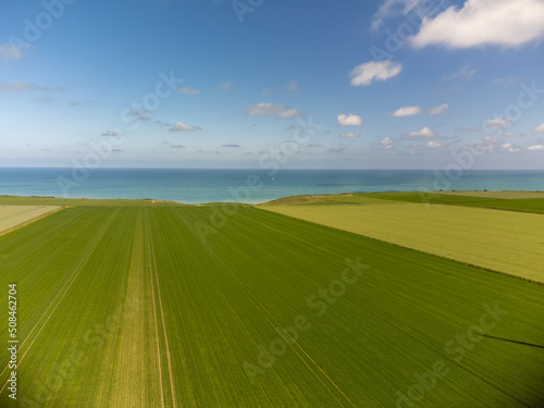 Aerial view on green grain fields and blue Atlantic ocean in agricultural region Pays de Caux in Normandy  France