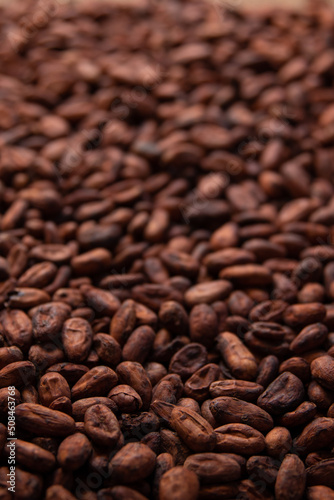 Roasted cocoa beans