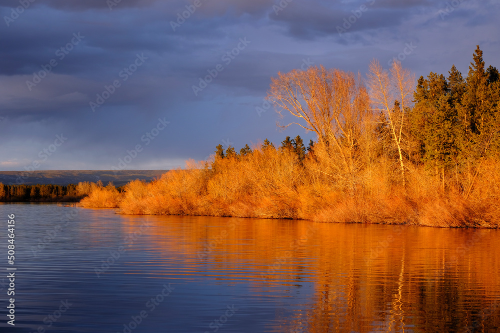 Sunset Lake Reflection in Water with Trees in Golden Light