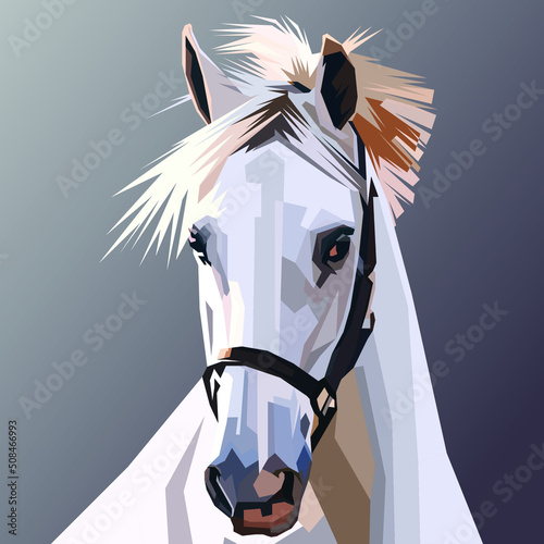 Horse head vector illustration