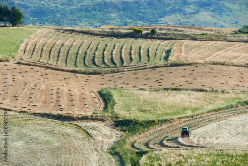 agricultural preparation of hay on the slopes of the hills of Sicily