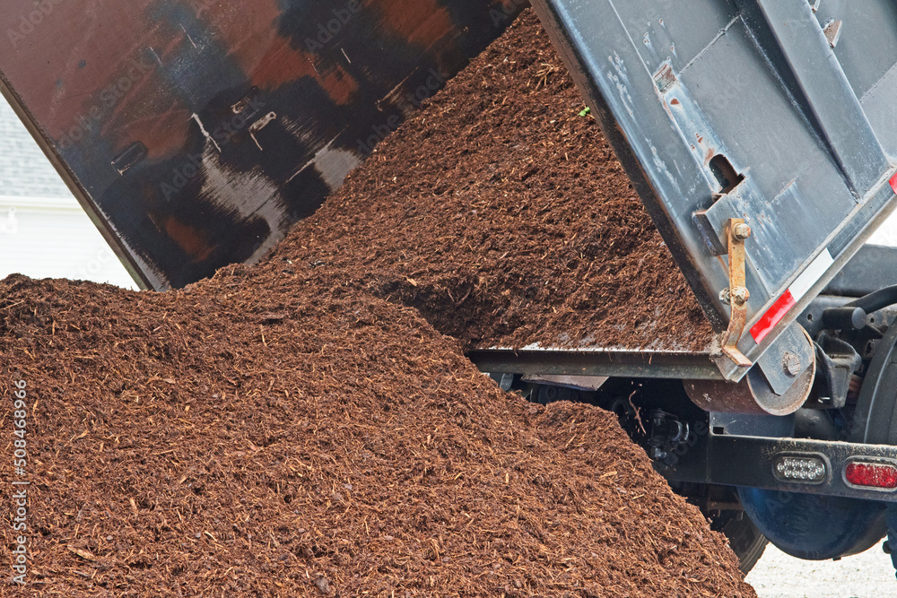 A dump truck delivers a large load of mulch or wood chips use for