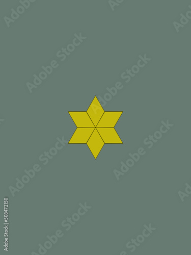 Shoulder pad NATO officer mark for the CADETE (CADET) insignia rank in the Portuguese Army