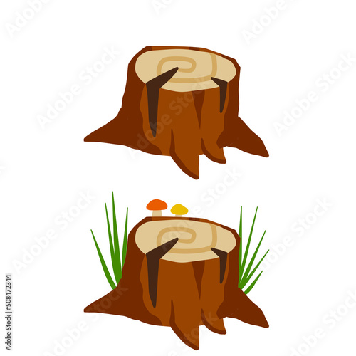Wood stump  flat vector illustration isolated on white background. Cut tree trunk bottom part. Nature decoration of forest