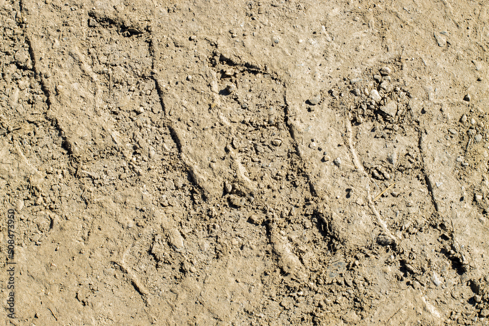 Large track from the wheel of an SUV or tractor on a clayey muddy road Large track from the wheel of an SUV or tractor on a clayey muddy road